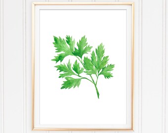 Kitchen Wall Art, Parsley Printable, Food Art, Herb Wall Art, Cooking Art, Watercolor Parsley, Botanical Art, Parsley Painting, Culinary Art