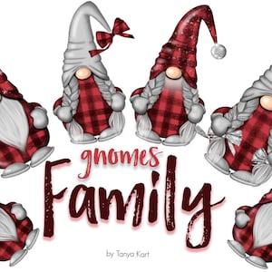 Buffalo Plaid Gnomes Winter Stickers for Christmas Planner, Red Family Gnomes Christmas Stickers, Nordic Gnomes Planner Reminders