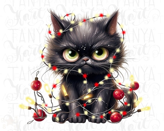 Christmas lights cat hotsell