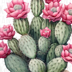 Watercolor Cactus Sublimation Download,Instant PNG Format for Shirts and Crafting Designs,Digital Pink Floral Plant Image for Commercial Use image 7