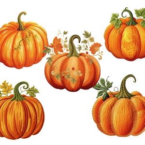 Fall Pumpkin Clip Art Bundle Sublimation Graphics for Autumn Decor and ...