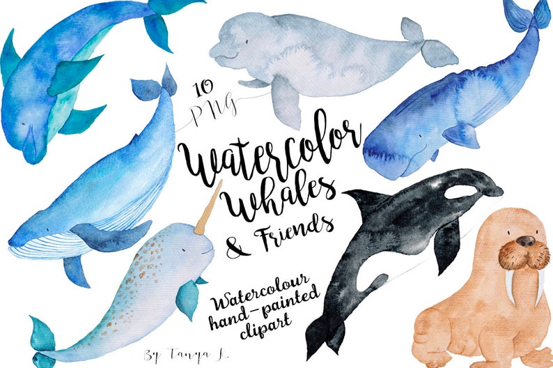 Watercolor Sea Whales Animals Clipart Bundle - Aquatic PNG Ocean Animal Designs for Crafts, for Kids Invitation and Commercial Use
