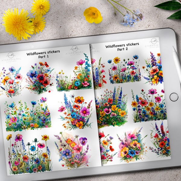 Wildflowers Spring Digital Stickers, Spring 2024, Flowers Stickers, Meadow Flowers, Spring Flowers, Floral GoodNotes, Floral Decoration,