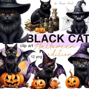 Halloween schwarze Katzen Digital Download Clipart: Hexe Katzen Designs für Sublimation, für Shirts, Transfers, Junk Journals, mystische Png Katzen