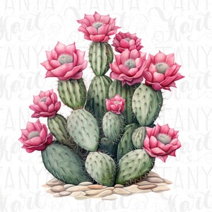 Watercolor Cactus Sublimation Download,Instant PNG Format for Shirts and Crafting Designs,Digital Pink Floral Plant Image for Commercial Use image 1