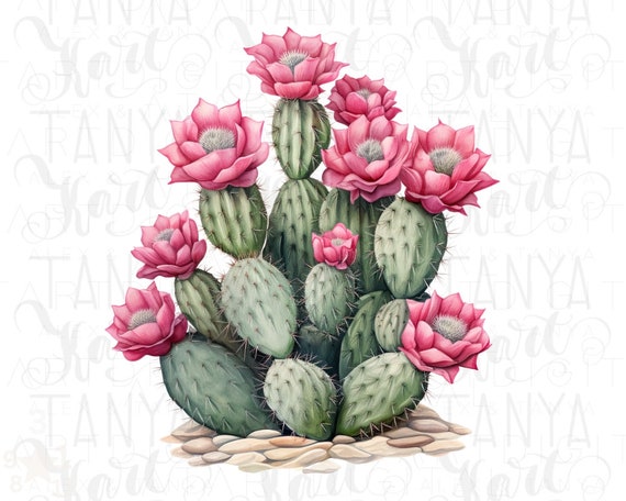 Watercolor Cactus Sublimation Download,Instant PNG Format for Shirts and Crafting Designs,Digital Pink Floral Plant Image for Commercial Use