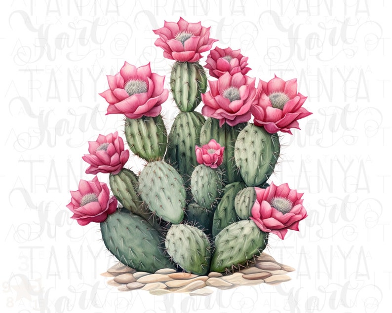 Watercolor Cactus Sublimation Download,Instant PNG Format for Shirts and Crafting Designs,Digital Pink Floral Plant Image for Commercial Use image 1