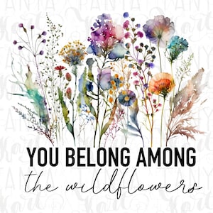 Illustration florale, Vous appartenez à des fleurs sauvages, Sublimation png, Amour de fleurs, conception de carte de voeux, peinture de marguerites