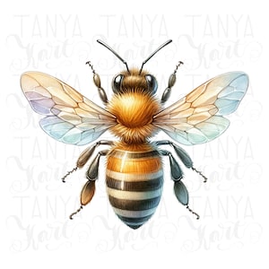 Queen Bee Sublimation Digital Download - Honey Bee PNG for Planner Stickers and Shirt Design, Botanical Bee Digital File for Wall Art