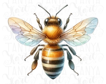 Queen Bee Sublimation Digital Download - Honey Bee PNG for Planner Stickers and Shirt Design, Botanical Bee Digital File for Wall Art