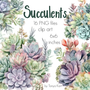 Watercolor Succulent Cactus Png Clipart Succulent Clipart - Etsy