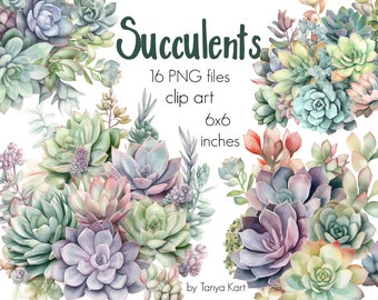Watercolor Succulent Cactus Png Clipart, Succulent Clipart, Botanical Clipart, Png For Sublimation,Plants Illustration,Wedding Floral Image