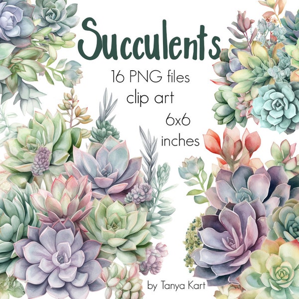 Watercolor Succulent Cactus Png Clipart, Succulent Clipart, Botanical Clipart, Png For Sublimation,Plants Illustration,Wedding Floral Image