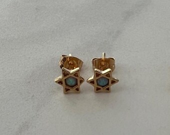 The Star of David earrings with a turquoise stone