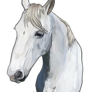 Detailed Horse custom pet portrait! [Digital Download/Print] Horse lovers, Personalised gift, Pet lovers gift, pet portrait, art
