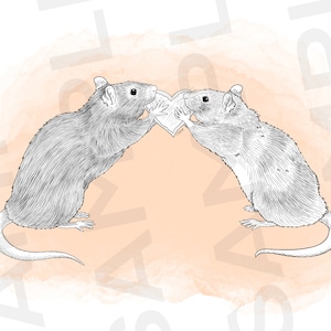 Rat Love Artwork [digital download print your own file] poster print, art print