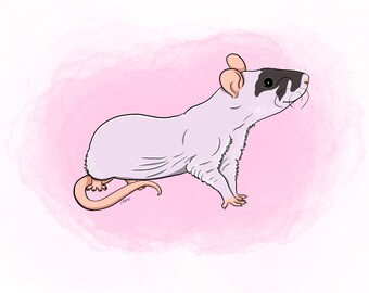 Cartoon Rat custom pet portrait! [Digital Download/Print] Rat lovers, Personalised gift, Pet lovers gift, pet portrait, art