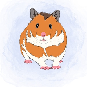 Cartoon Hamster custom pet portrait! [Digital Download/Print] Personalised gift, Pet lovers gift, pet portrait, art