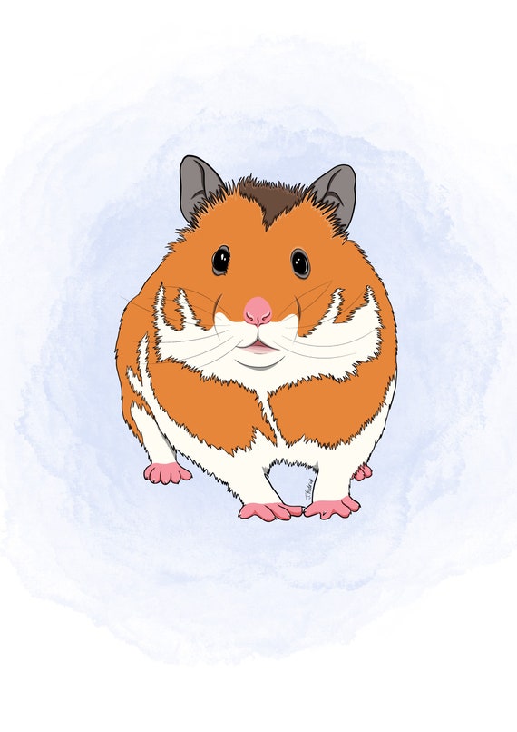 Buy Cartoon Hamster Custom Pet Portrait digital Download/print Online in India - Etsy Buy Cartoon Hamster Custom Pet Portrait digital Download/print Online in India - Etsy