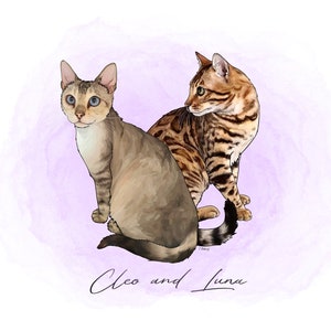 Detailed Cat custom pet portrait! [Digital Download/Print] Cat lovers, Personalised gift, Pet lovers gift, pet portrait, art