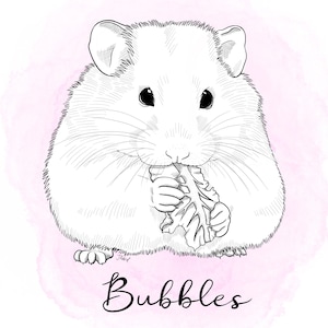 Line Art Hamster custom pet portrait! [Digital Download] Personalised gift, Pet lovers gift, animal portrait, pet portrait, art