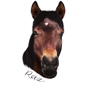Hyperrealistic Horse custom pet portrait! [Digital Download/Print] Personalised gift, Pet lovers gift, pet portrait, art