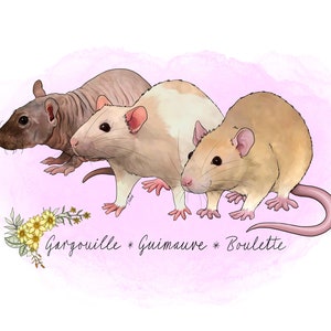 Detailed Rat custom pet portrait! [Digital Download/Print] Rat lovers, Personalised gift, Pet lovers gift, pet portrait, art
