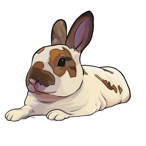 Cartoon Rabbit custom pet portrait! [Digital Download/Print] Rabbit lovers, Personalised gift, Pet lovers gift, pet portrait, art