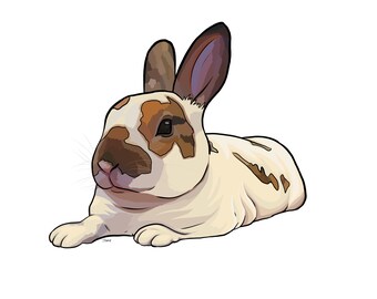 Cartoon Rabbit custom pet portrait! [Digital Download/Print] Rabbit lovers, Personalised gift, Pet lovers gift, pet portrait, art