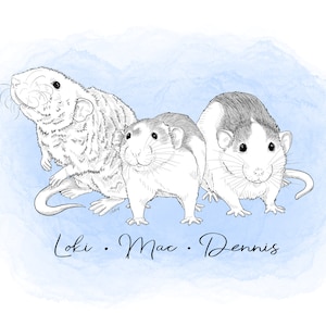 Line Art Rat custom pet portrait! [Digital Download] Rat lovers, Personalised gift, Pet lovers gift, animal portrait, pet portrait, art