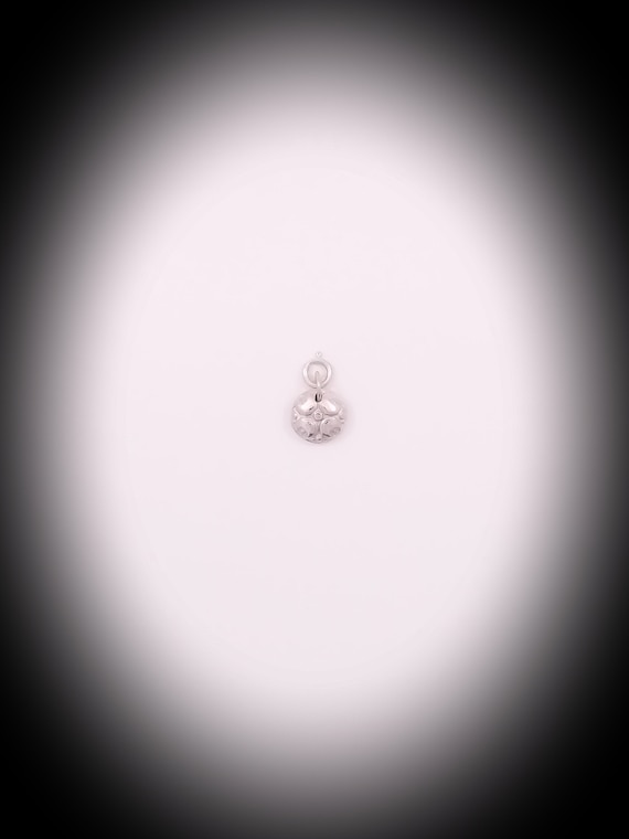 Sterling silver reversible charm (925)