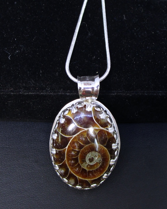 Crystallized C-123 silver necklace with ammonite fossil charm on silver free shipping / Free Shipping