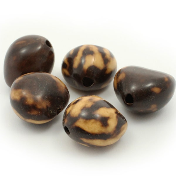 Kukui nuts tiger brown 25 mm 5 pieces Lumbang large natural pearls Philippines light nut large beads Kukuinuss candlelight nuts chunky beads