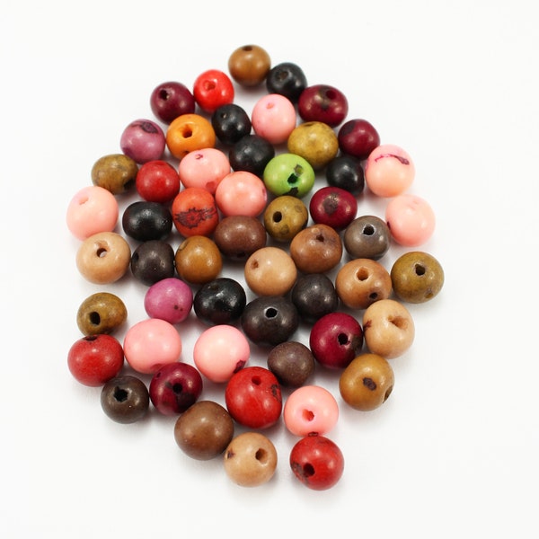 Acai Mix coloré 50 pièces 6-14 mm perles de graines Azaiperlen Brésil mélange de perles naturelles perles graines naturelles