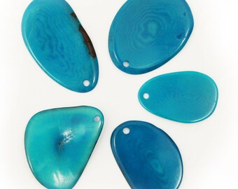 Tagua slices