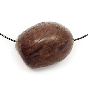 Tagua nut small, with bowl, 35 mm, 1 piece, brown, tagua pearl, pearl large, pendant, natural bead, pendant, with peel, natural jewelry