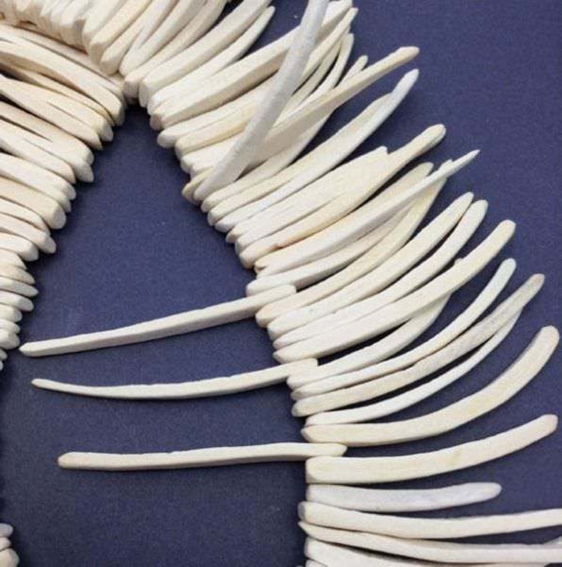 Coconut Sticks White 50 Mm 1 Strand 140 Pieces Coco Tusk Coco Etsy