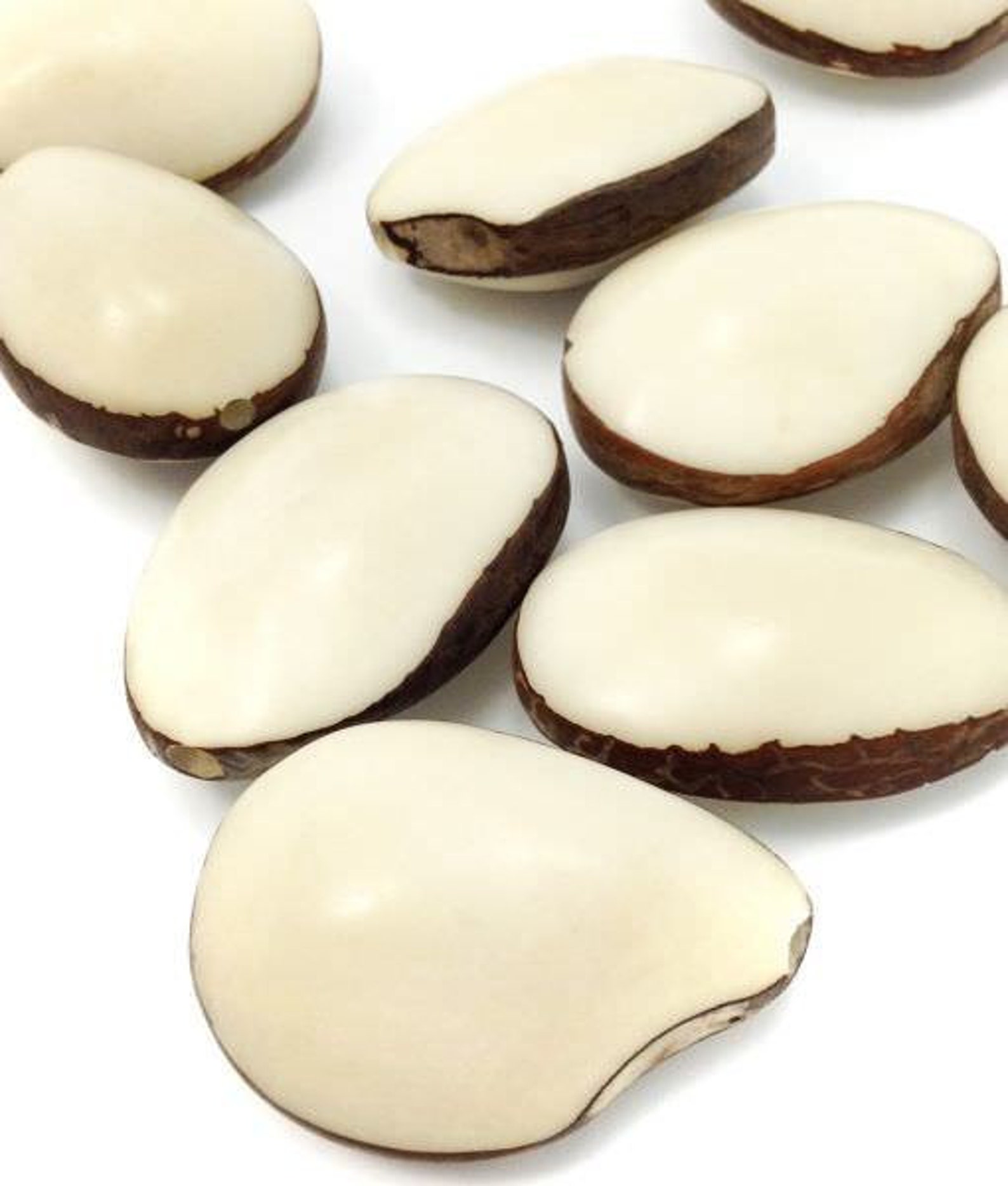 Tagua Nut Pendant 1 Tagua Nut Natural Flattened 42 Mm 1 Piece Etsy