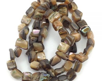 Paua shells, 6mm, rectangular pieces, 1 beach