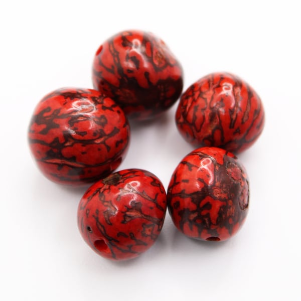 Pambil Perlen rot 15mm 5 Stück red natural beads große Naturperlen natural seeds Samen mit Schale Bombona