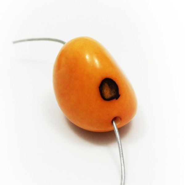 Tagua gros safran 35-50 mm 1 pièce grande pendentif big saffron pendant tagua bead big nut bead