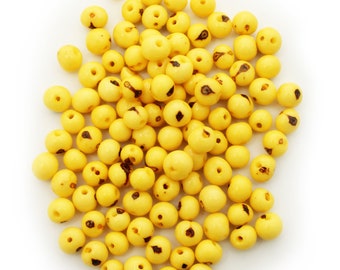 acai beads Acaiperlen gelb 6-14mm 100 Stück Samenperlen Azaiperlen Brasilien natural beads natural seeds eco friendly beads natural seeds