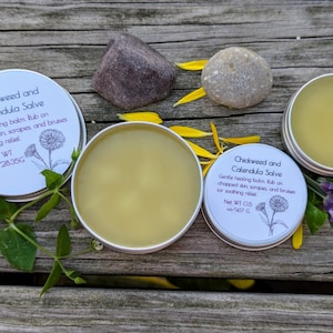 Vogelmiere und Ringelblumensalbe, Calendula Salve, All Natural Salve