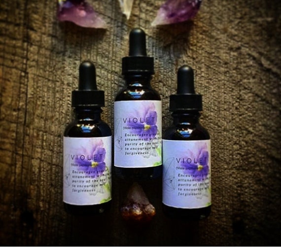 Violet Flower Essence Etsy