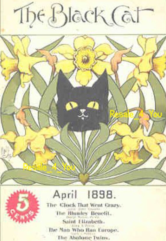 April 1898 DAFFODILS The Black Cat Magazine cover 8x10 Vintage animal Art print