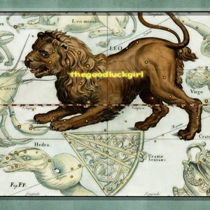 Instant Download HOROSCOPE Sign *LEO* July 23 - August 22 ZODIAC Art Print Picture Downloadable