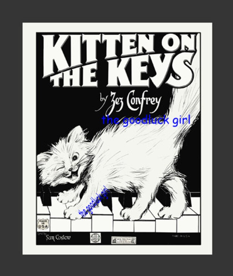 Kitten On The Keys