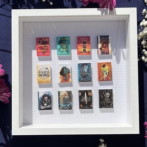 Może przedstawiać: Biała, oprawiona ekspozycja z miniaturowymi okładkami książek, z tytułami takimi jak "A Court of Thorns and Roses" i "Fourth Wing". Układ jest ustawiony na ciemnoniebieskim tle, ozdobionym różowymi chryzantemami i białą gipsówką.