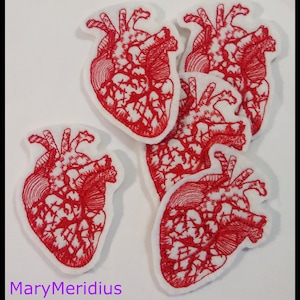 Anatomical Human Heart embroidered patch~ iron-on sew-on patch~MaryMeridius~ stylized ~Anatomically Correct ~ Doctor Nurse Wedding Love