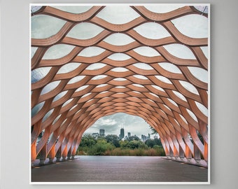 Chicago Wall Art - Lincoln Park Zoo - Honeycomb Pavilion Sculpture, Chicago Skyline, Chicago Canvas Print, Print on Wood, Framed Artwork